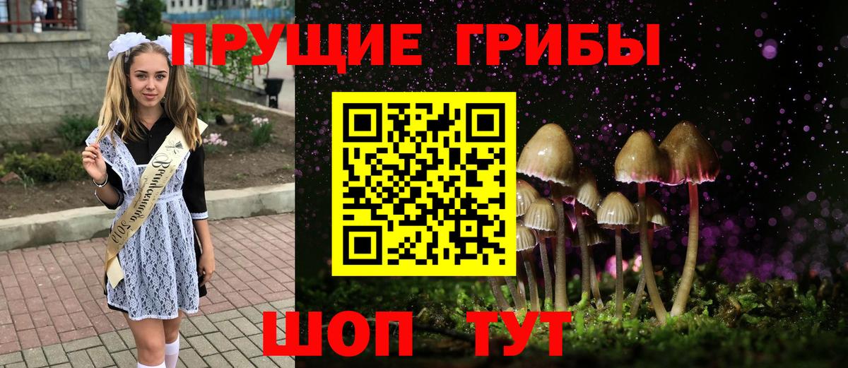 Псилоцибиновые грибы MAGIC MUSHROOMS  Галлюциногенные грибы Cubensis  Вход с VPN  Саяногорск 